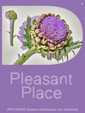 Pleasant Place (#004)