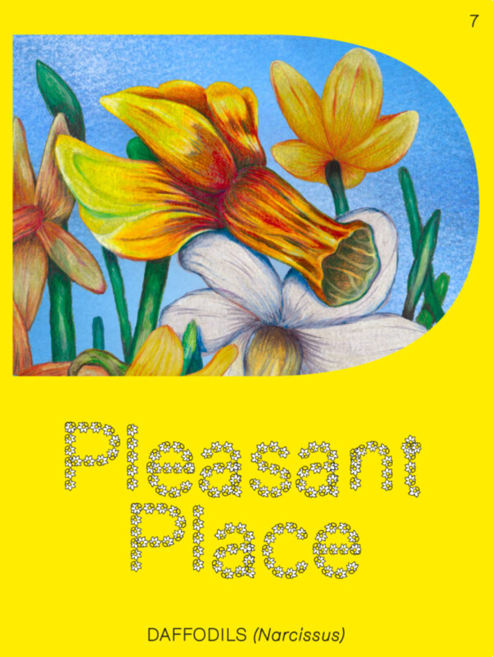 Pleasant Place (#007)